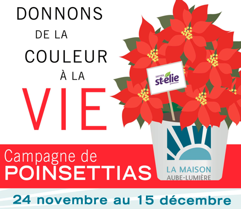 Campagne vente de Poinsettias
