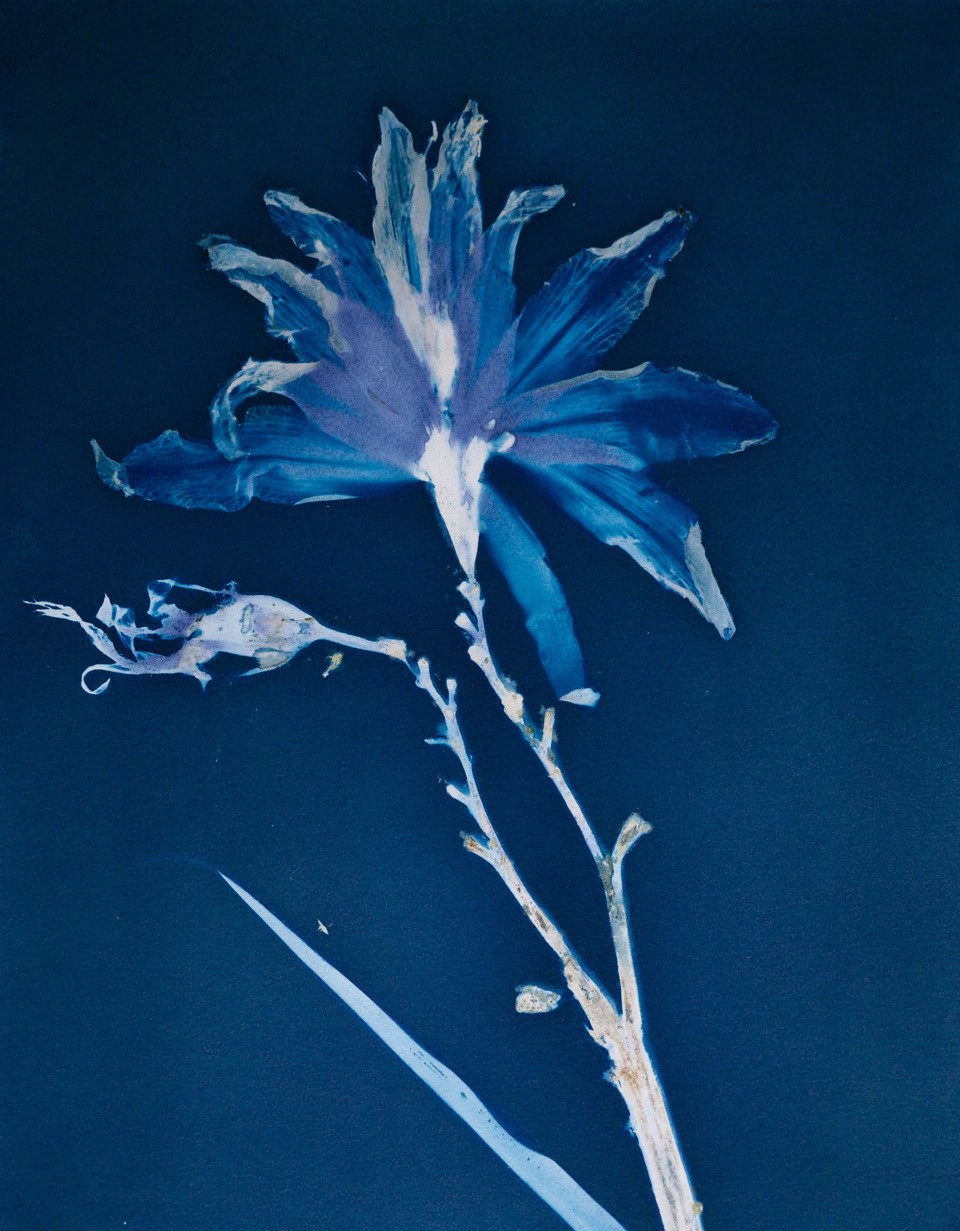 Artiste Chantal Emond